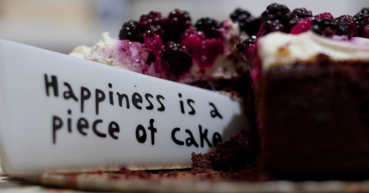 Happiness Is a Piece of Cake Close Up Photography