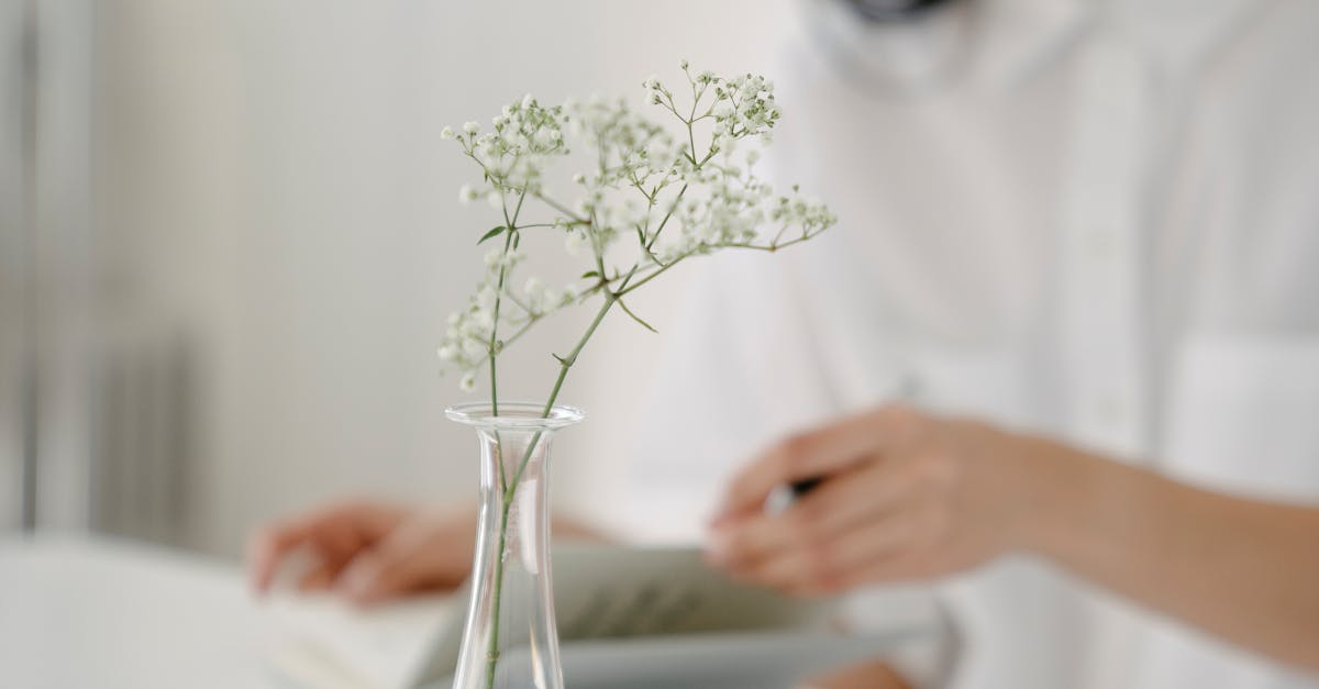 Twig in vase on background of ethnic female making notes