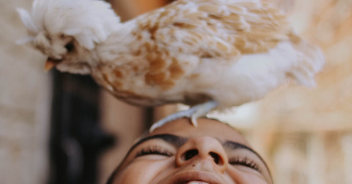 A woman is smiling while holding a chicken on her head