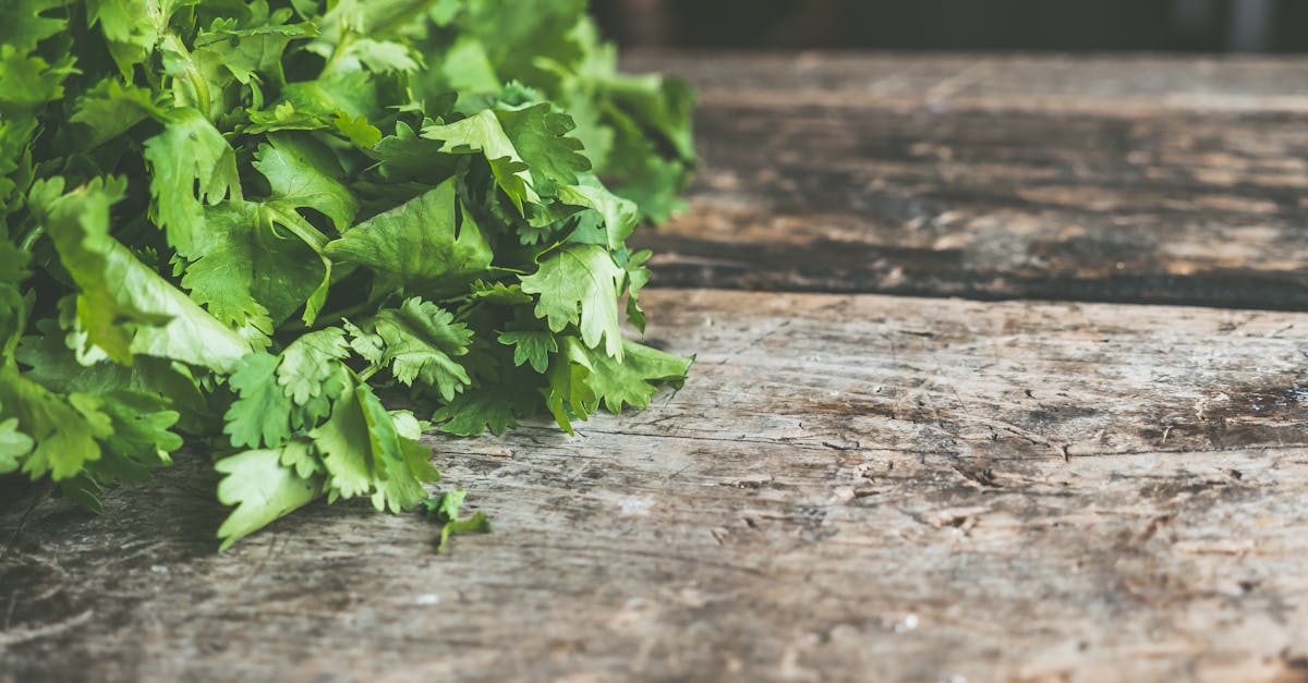 Green Leafed Plant