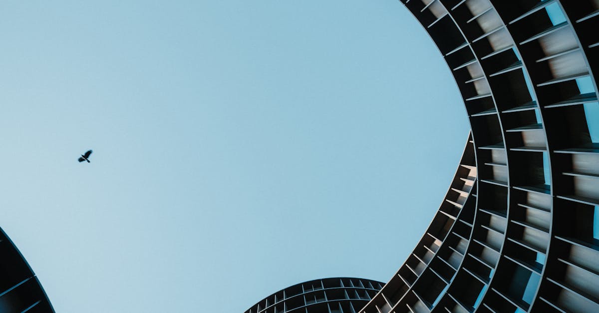 A bird flying through the windows of a building