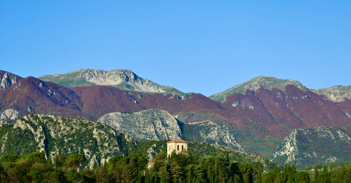 Green Trees and Mountain Under Blue Sky