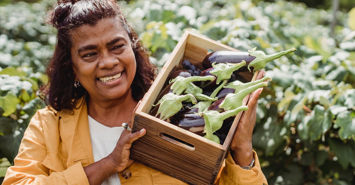 Joyful middle aged ethnic female farmer in casual clothes smiling and carrying wooden box with heap of fresh organic eggplants while working on plantation on sunny day