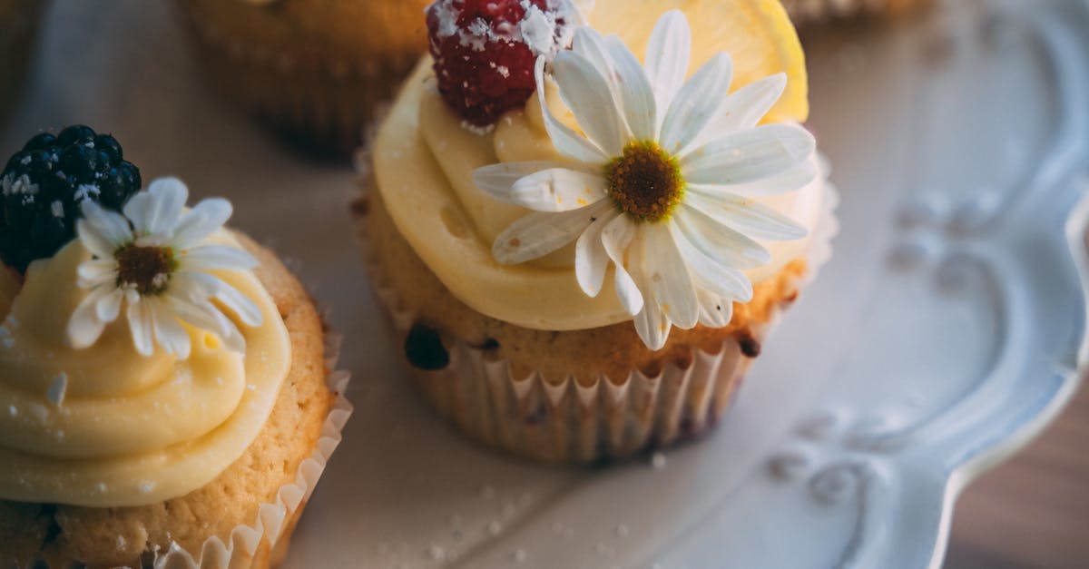 Brown Cupcakes With White Icing on White Ceramic Plate