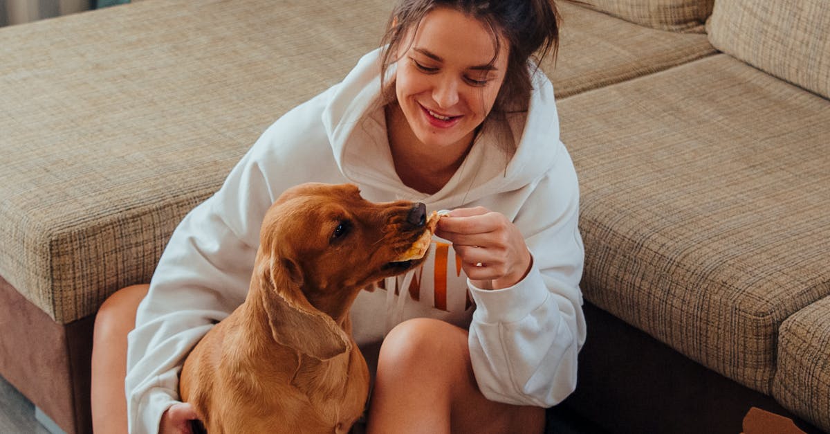 Cheerful woman hugging and feeding dog at home