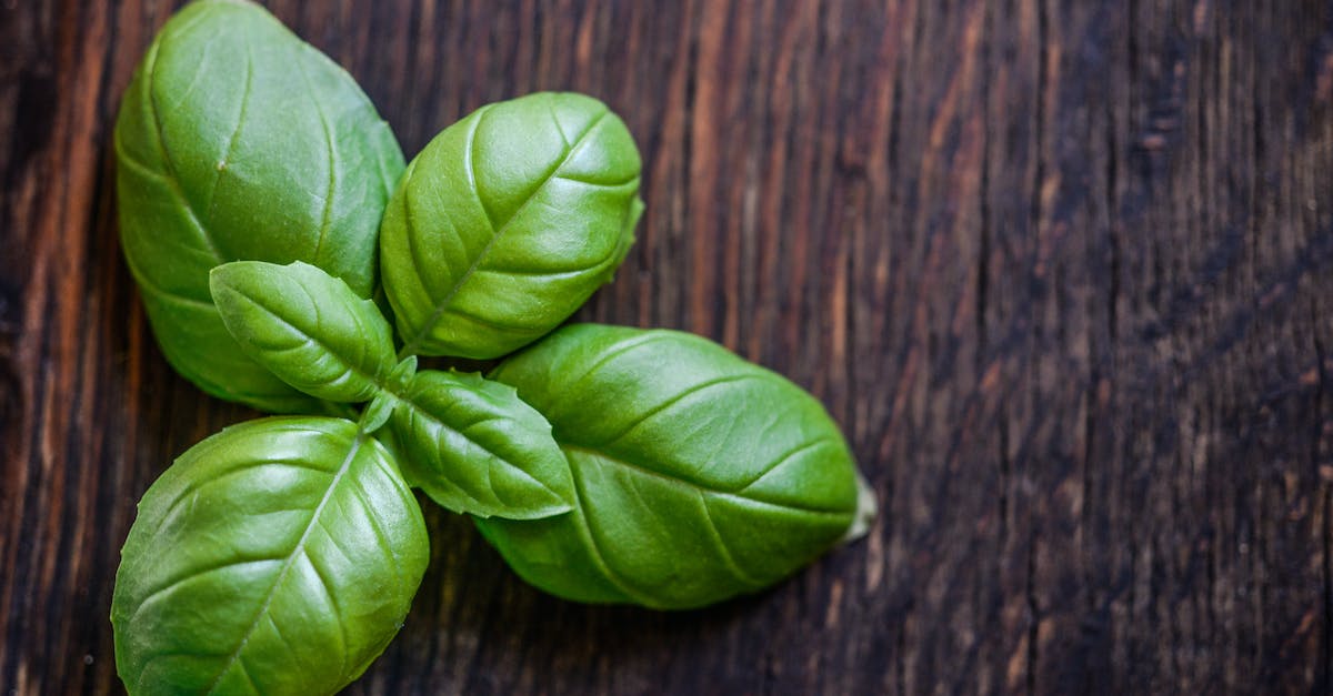 Green Leaf Plant on Brown Wooden Surface