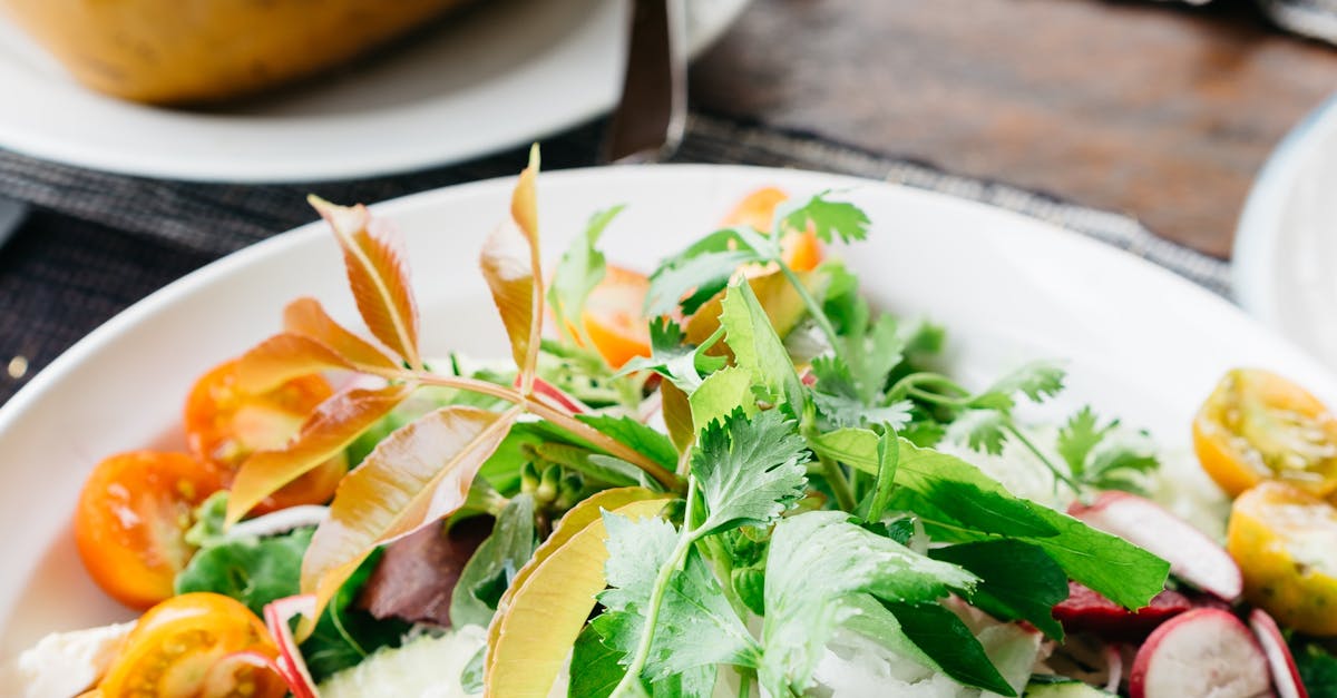 Vegetable Salad on White Plate