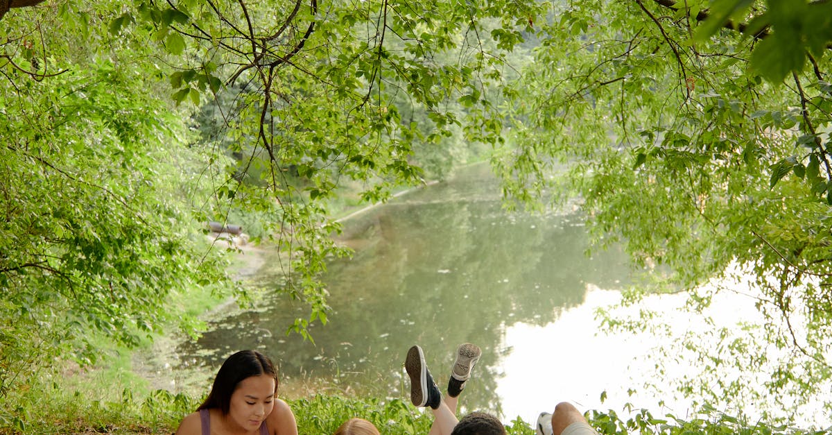 Group of Friends Resting on a Forest Park while Reading Book