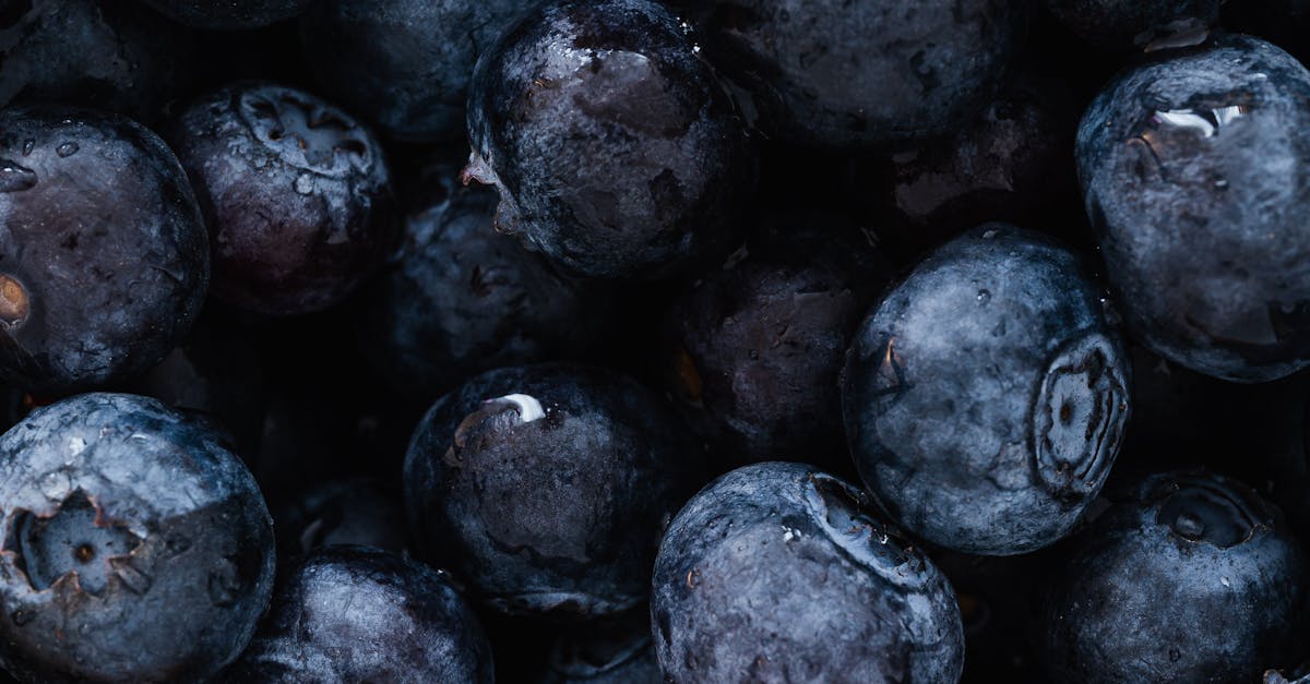 Top view of delicious sweet and fresh ripe blueberries placed on even surface